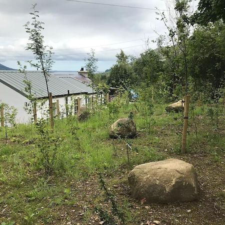 An Bothan-Cosy Cottage In The Cooley Mountains Dundalk Exterior foto