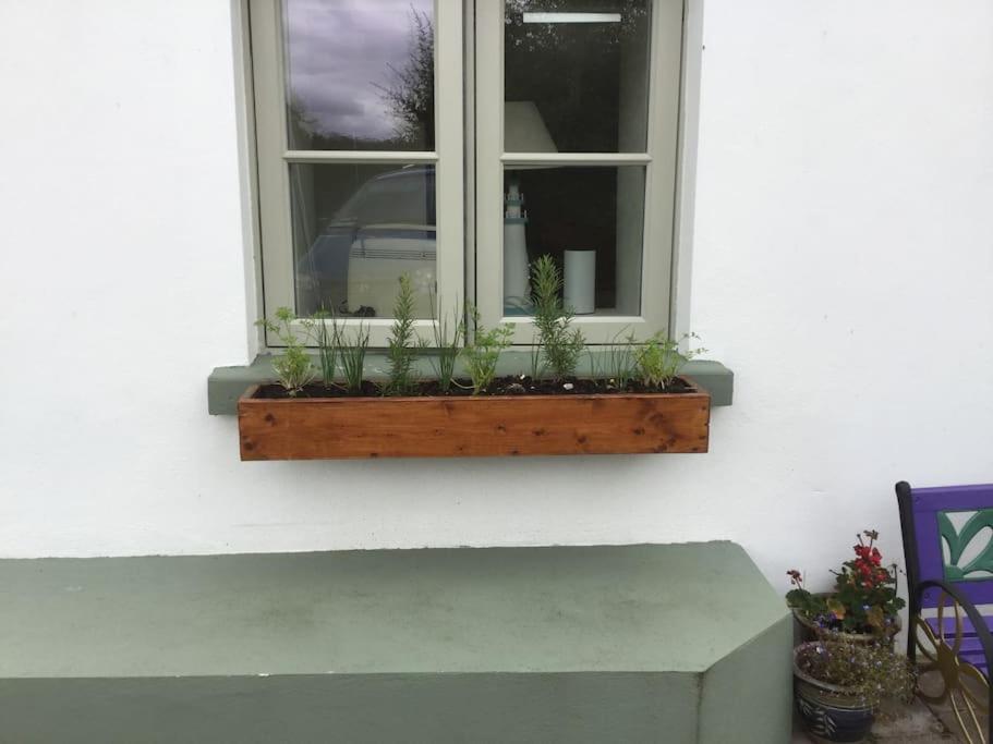 An Bothan-Cosy Cottage In The Cooley Mountains Dundalk Exterior foto